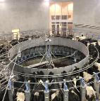 Food and Agri Business Management